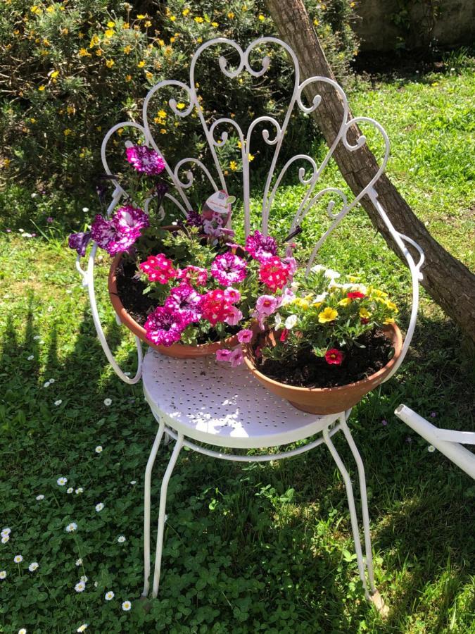 B&B Anna Bolsena Exterior foto