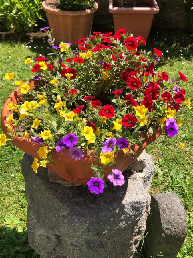 B&B Anna Bolsena Exterior foto