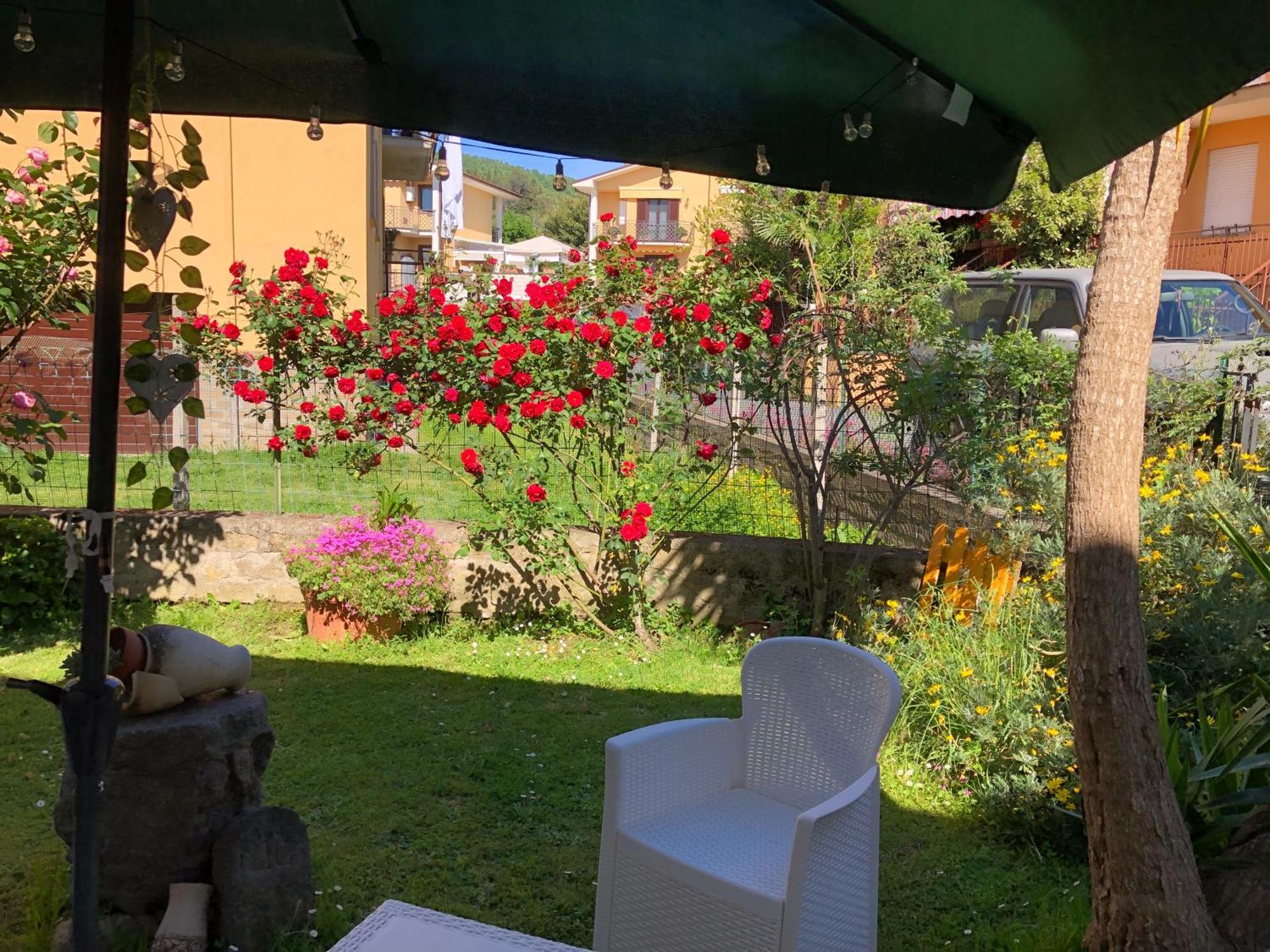 B&B Anna Bolsena Exterior foto